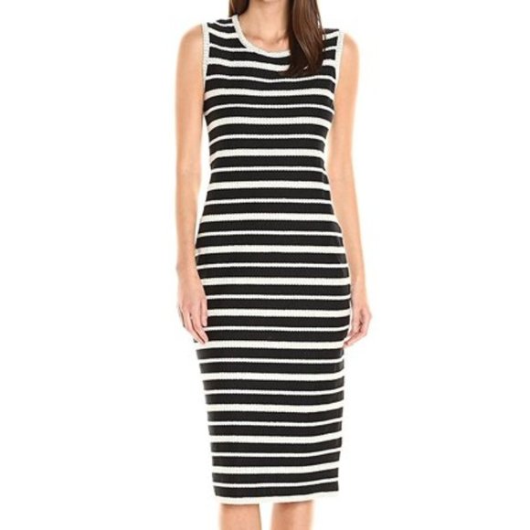 Max Studio Dresses & Skirts - NWT Max Studio Embroidered Stripe Sheath - Size M
